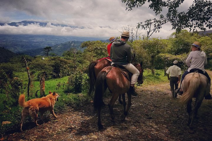 Queveri Horseback Riding Tours - Photo 1 of 6